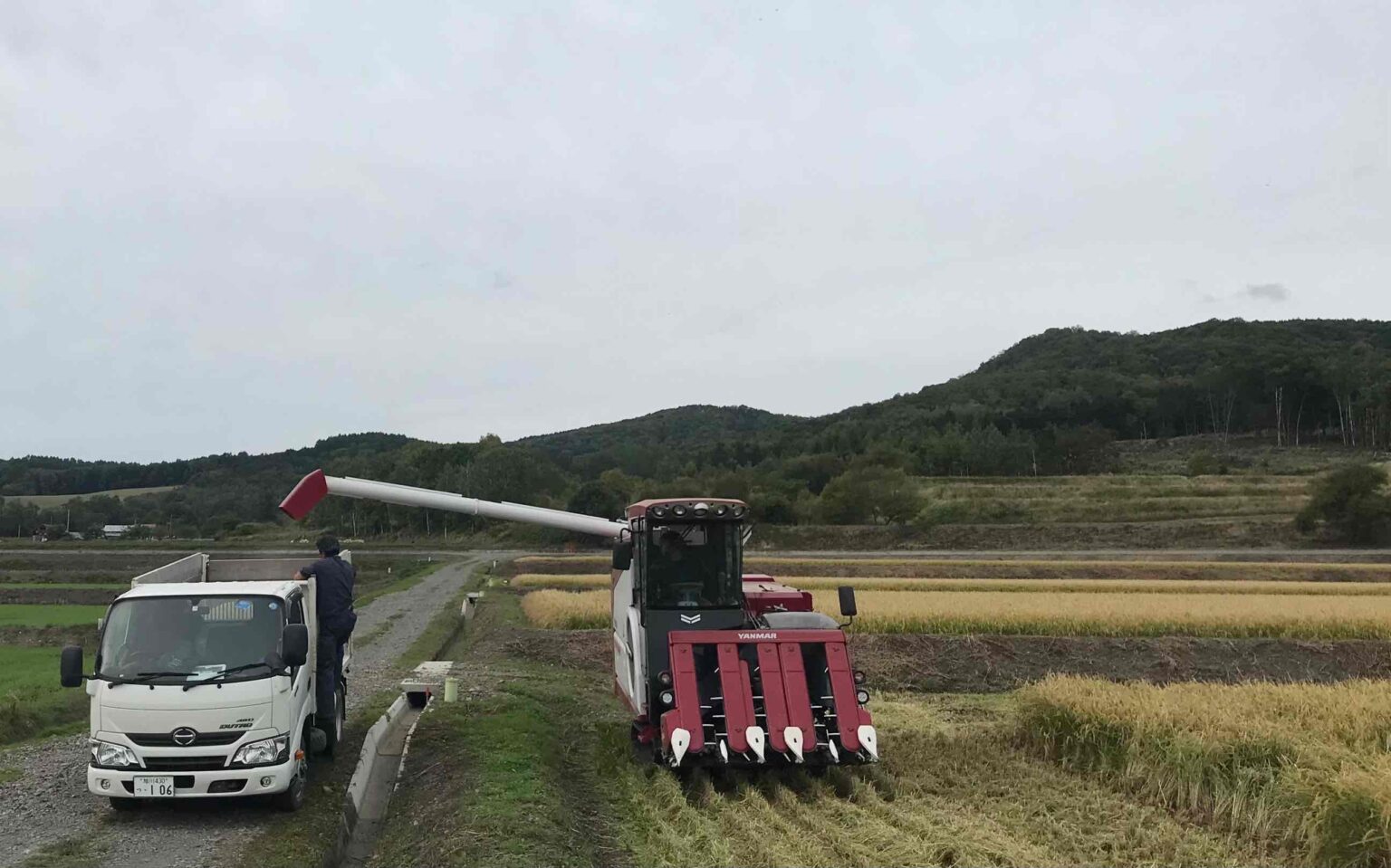 納内圃場の稲刈 | 株式会社 深川未来ファーム